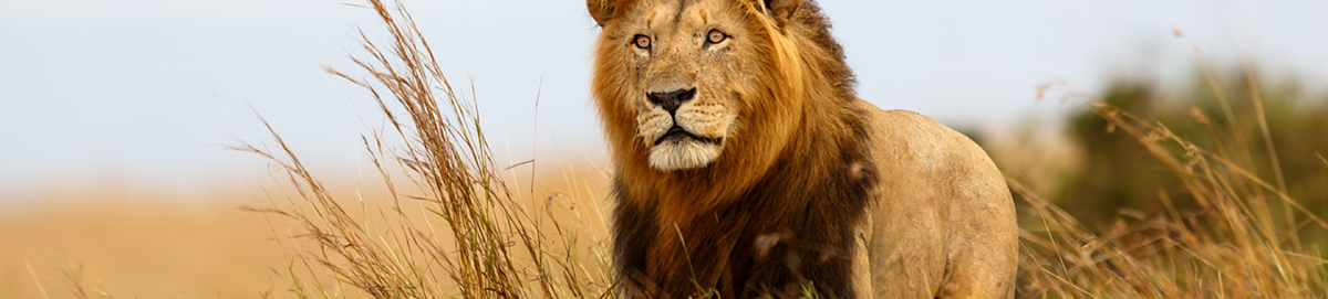 Kenya