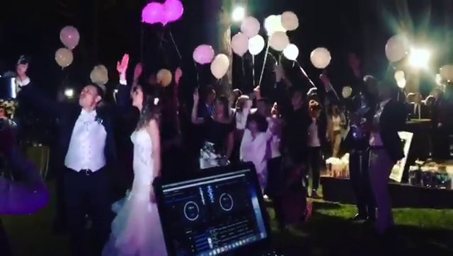 100% Wedding Party