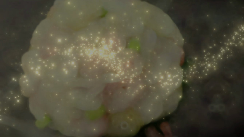 Moonflower Floral Designs