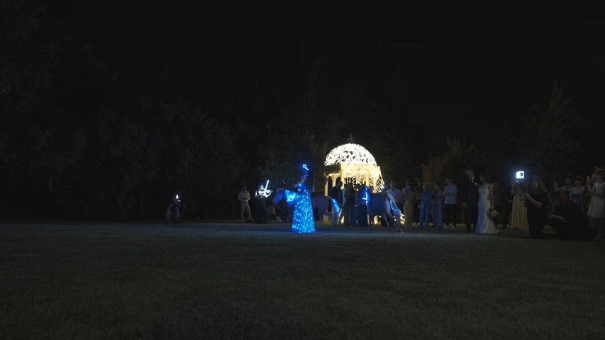 spettacoli per matrimoni wedding horse show