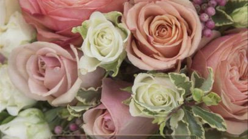 Promozione San Valentino per i futuri sposi