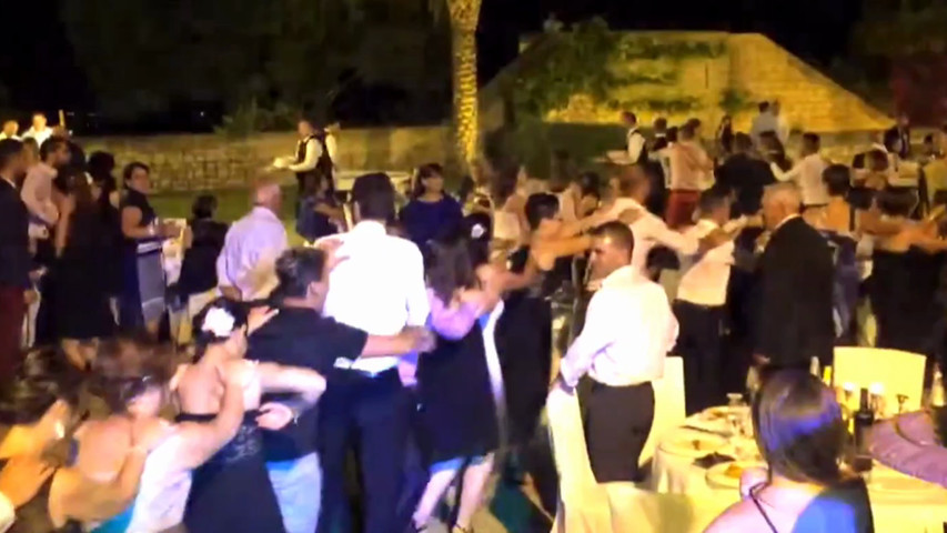 Animazione matrimonio