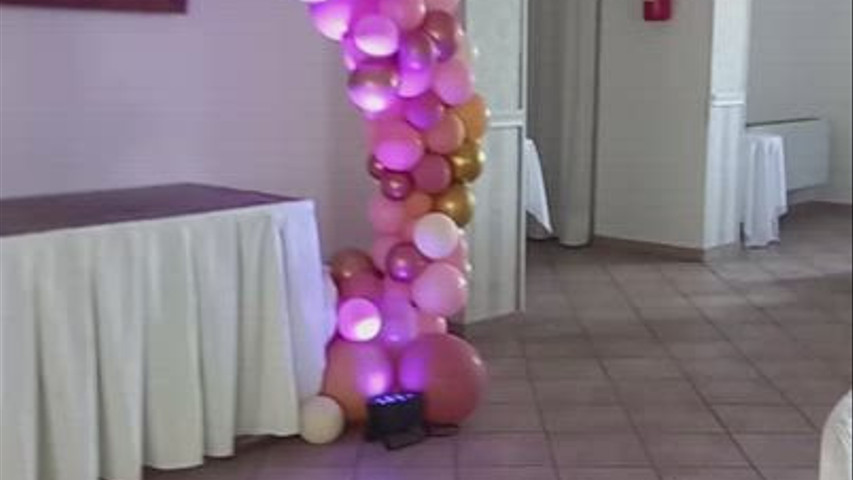 ALLESTIMENTO BASE 