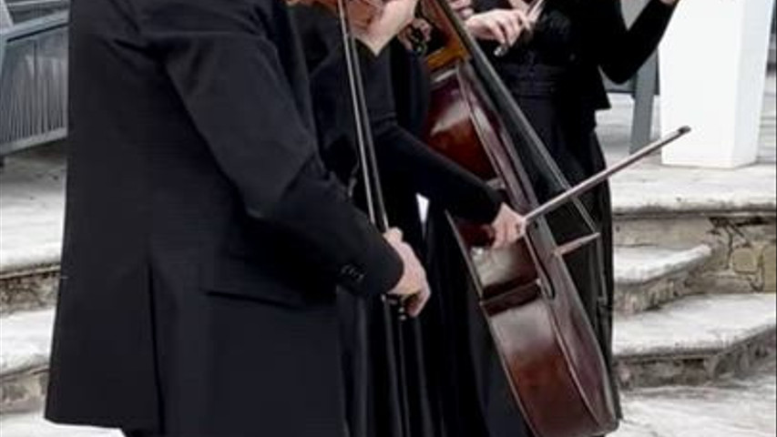 String trio during cocktail hour