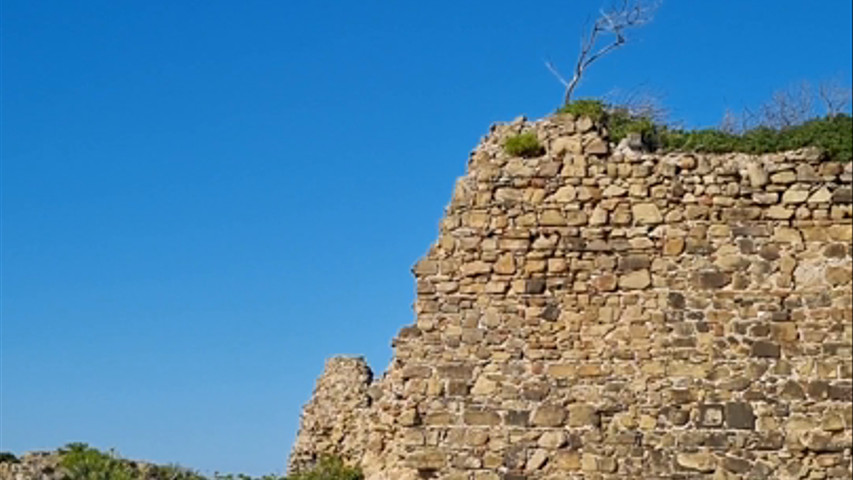 Tenuta di Punta Licosa