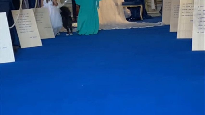 Luna la damigella 
