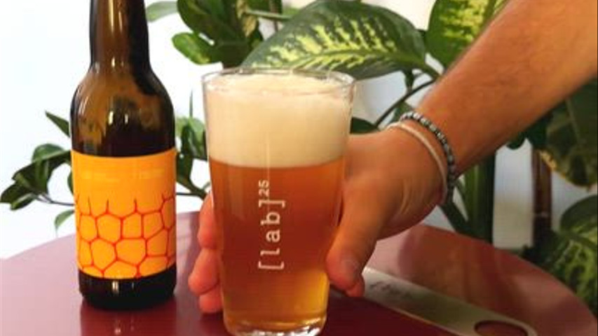 Honey Pale Lager