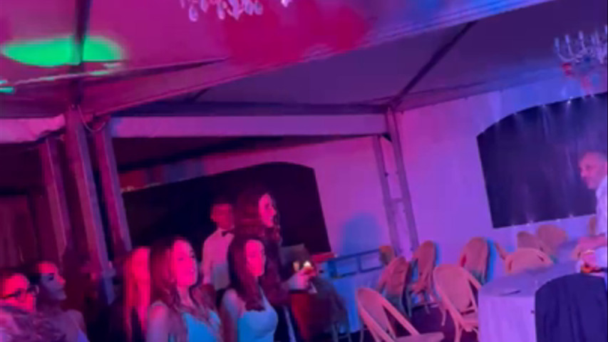Wedding party 