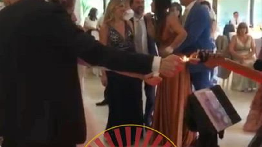 PULP WEDDING 2025