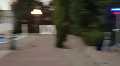 Live