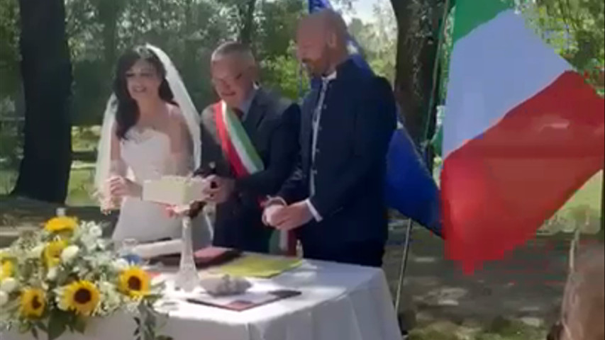 Volo delle farfalle