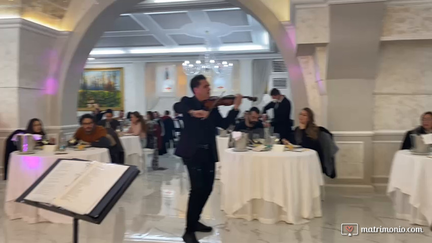 Violino: Pasquale