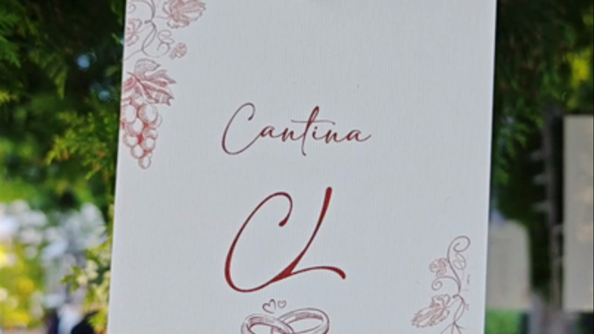 Wedding Highlights 9