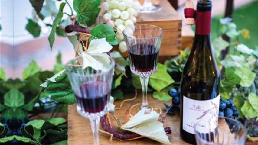 Olimpia Catering
