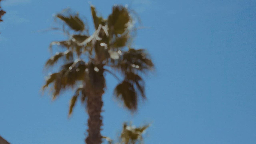 Camera a sud Trailer latin 