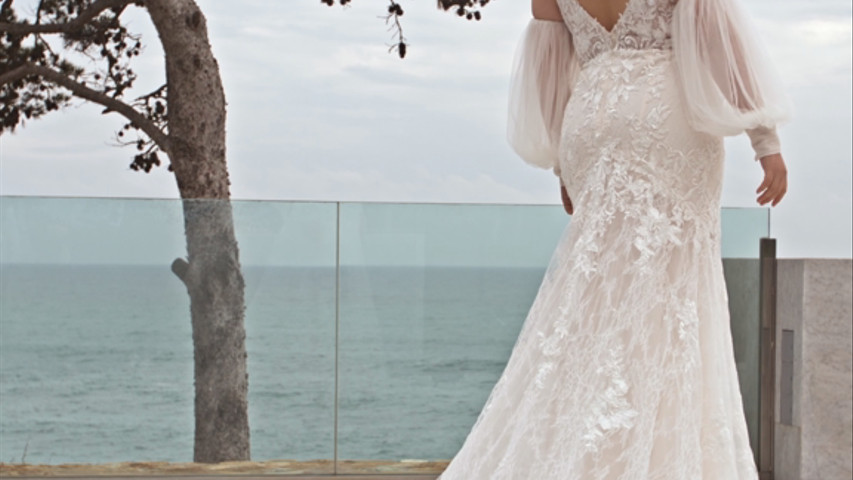 Shani Pronovias La Luna Nuova Atelier