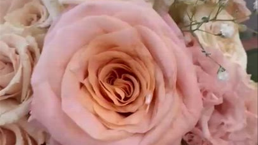 bouquet