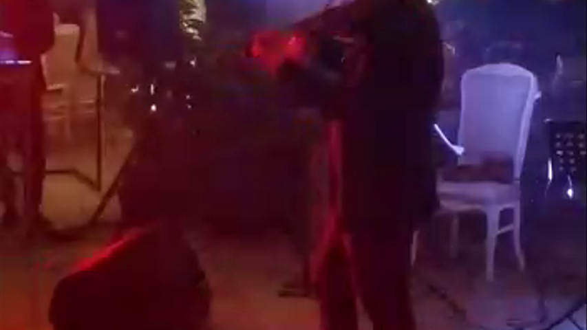 Violino