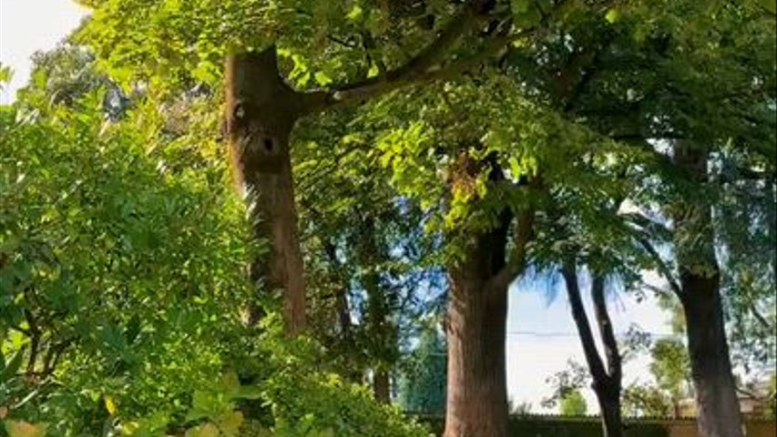 Villa Buttafava 