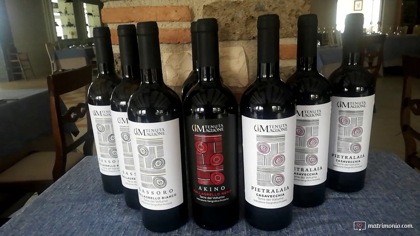 I nostri  vini IGP Terre del Volturno