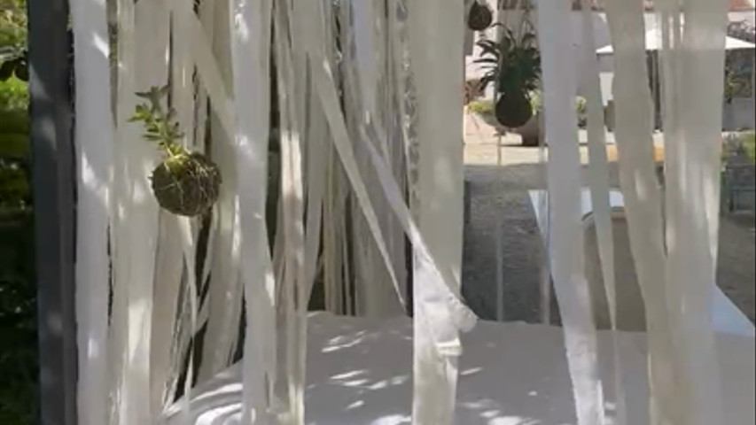 Silvia e Michele - Allestimento cerimonia kokedama 