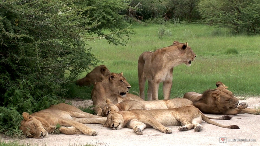 Kenya e Zanzibar