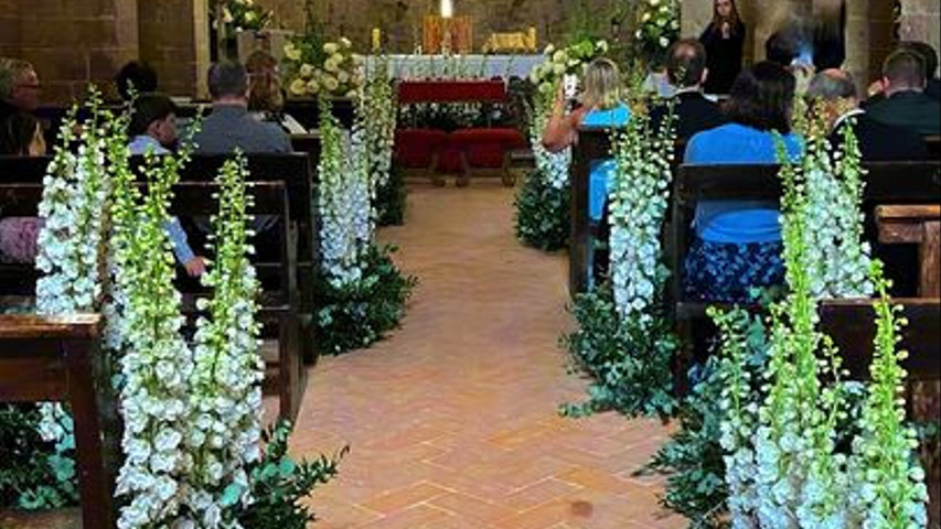 Romagnoli Piante di Romagnoli Giovanna