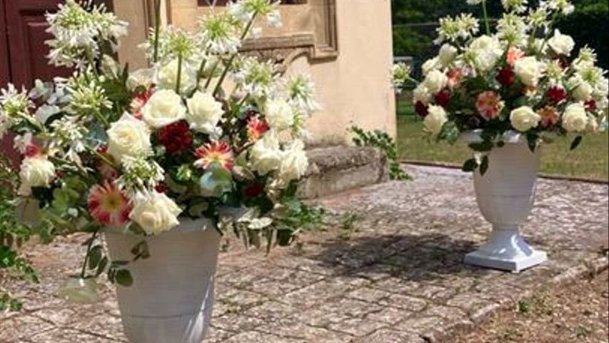 Romagnoli Piante di Romagnoli Giovanna 