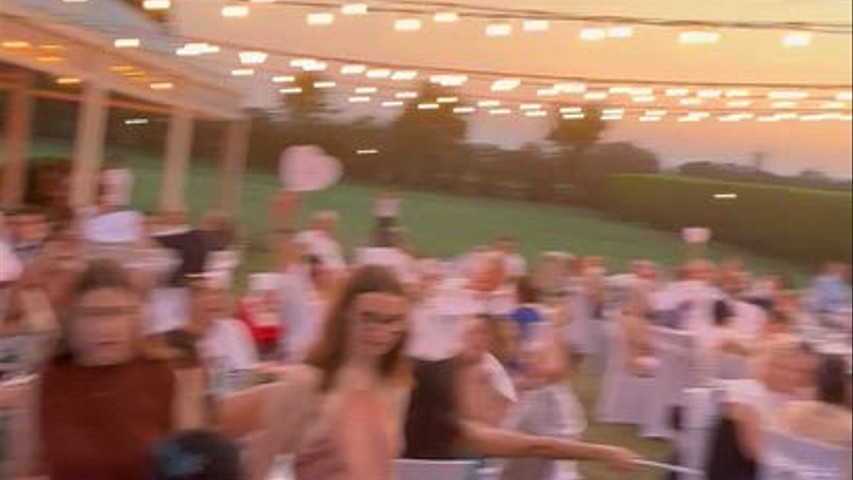 CENA ANIMATA 