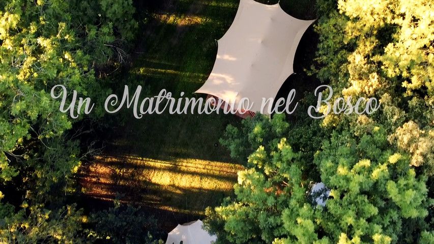 Un Matrimonio nel Bosco tra le luci d'Estate