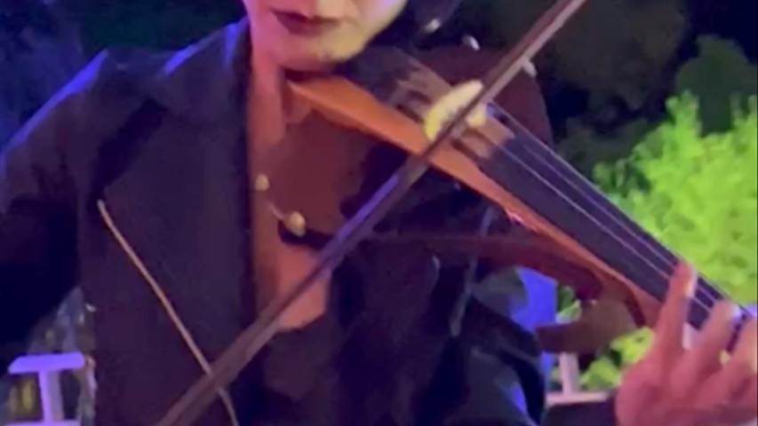  violin show