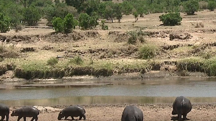 Tanzania