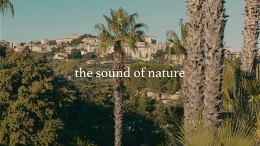 The sound of nature