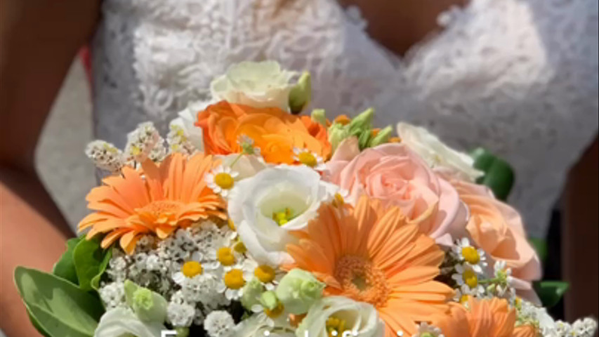 Matrimonio Salmone