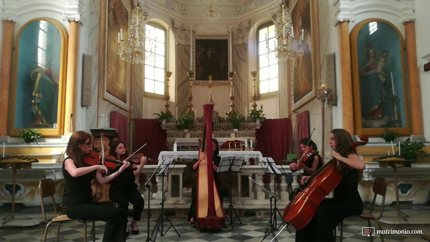 C. Saent Saens, Il Cigno - Quartetto d'archi e arpa classica