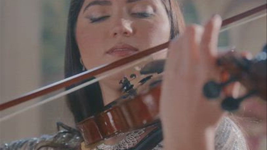 Violino per la cerimonia