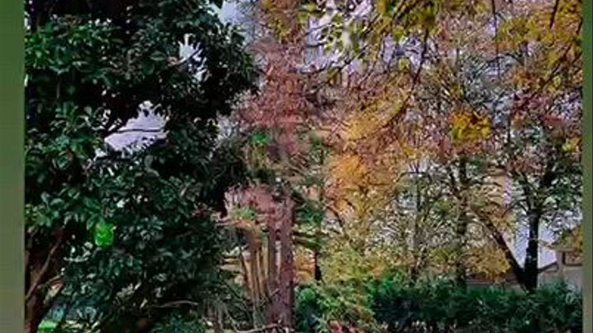 Viale di ingresso