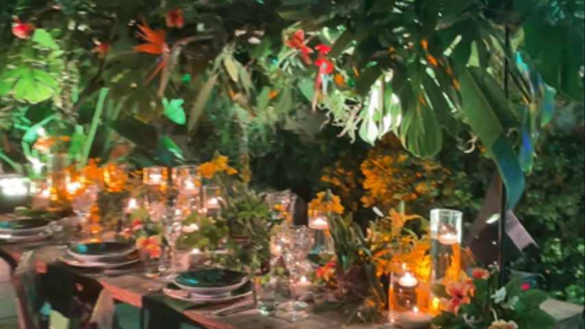 Allestimento tropicale 
