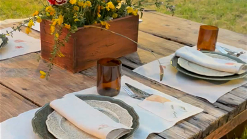 Pic nic corner wed