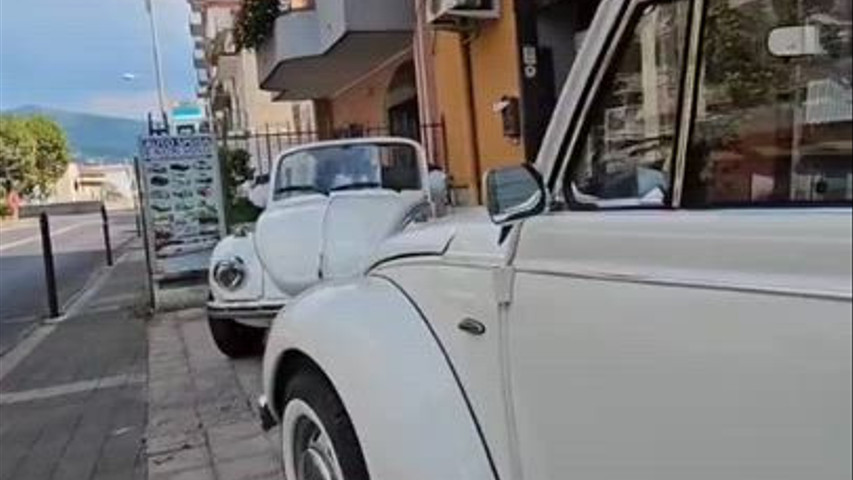 Auto Sposa e Non Solo 