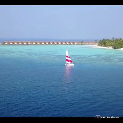 Maldive