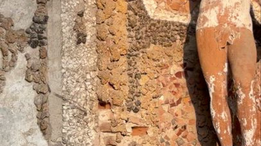 Limonaia 22
