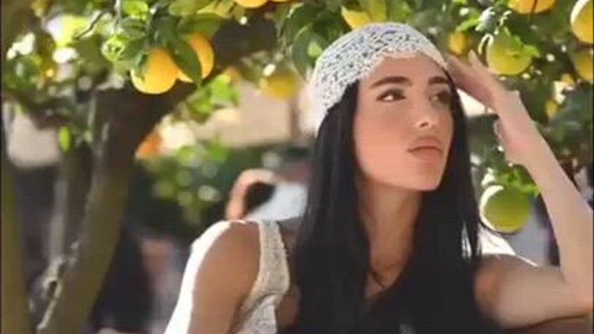 Lemon Tree in Quintetto