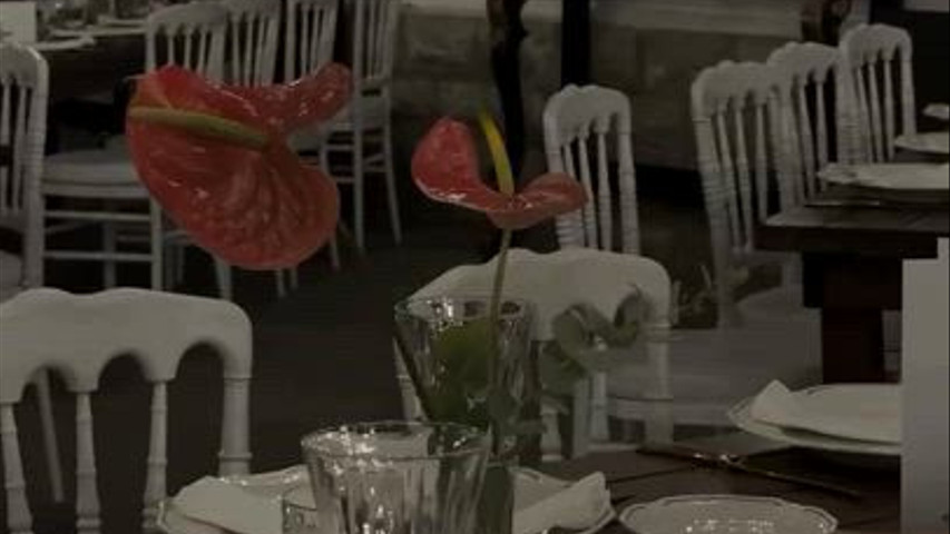 Tu chiamale se vuoi emozioni