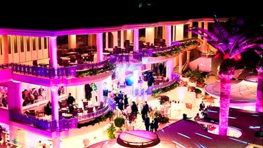 Wedding Dream!
