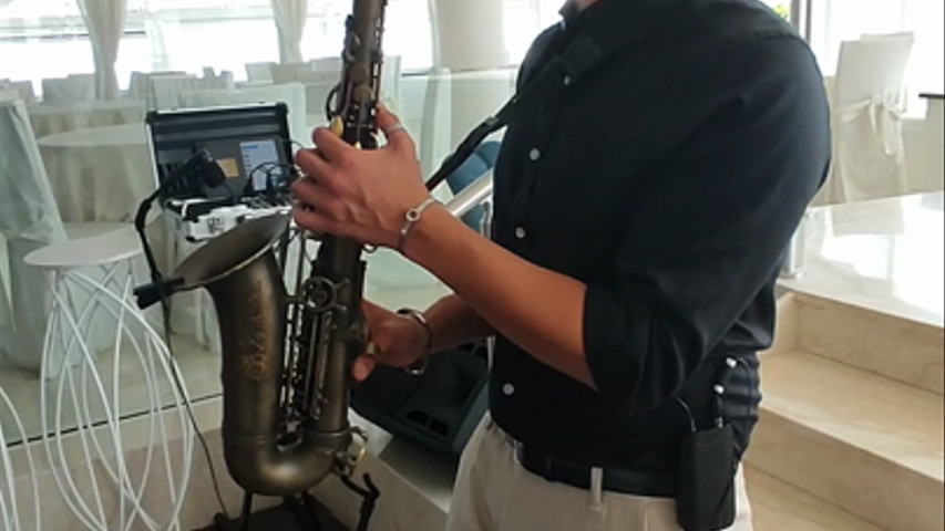 Anna Marino Live Entertainment - Sax