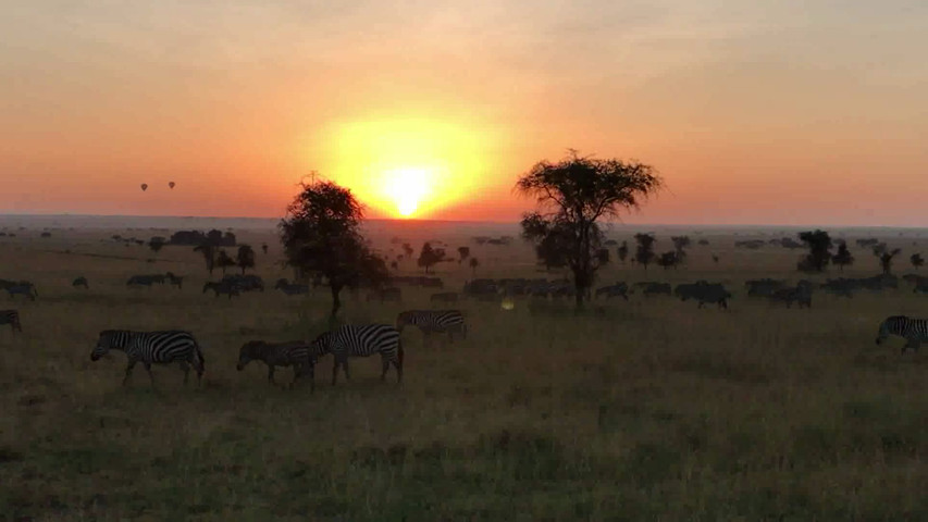 Serengheti Travel