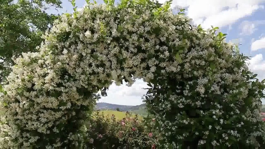 Wedding in Tuscany