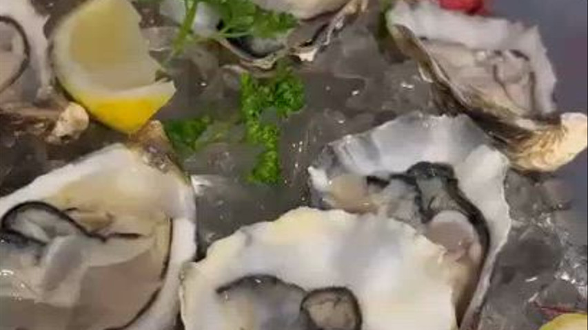 Whatsapp video 2025 11 08 at 18 15 24 176262383859323
