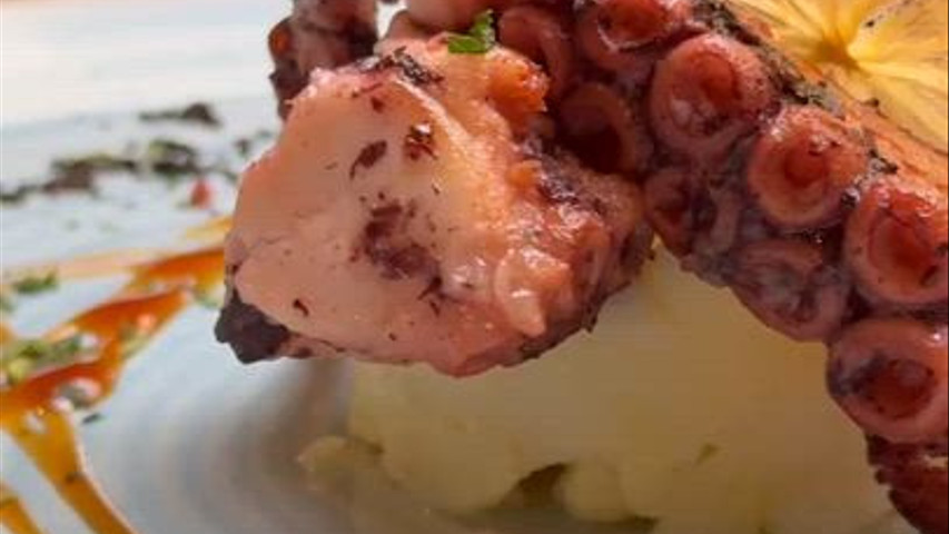 Tentacolo polpo
